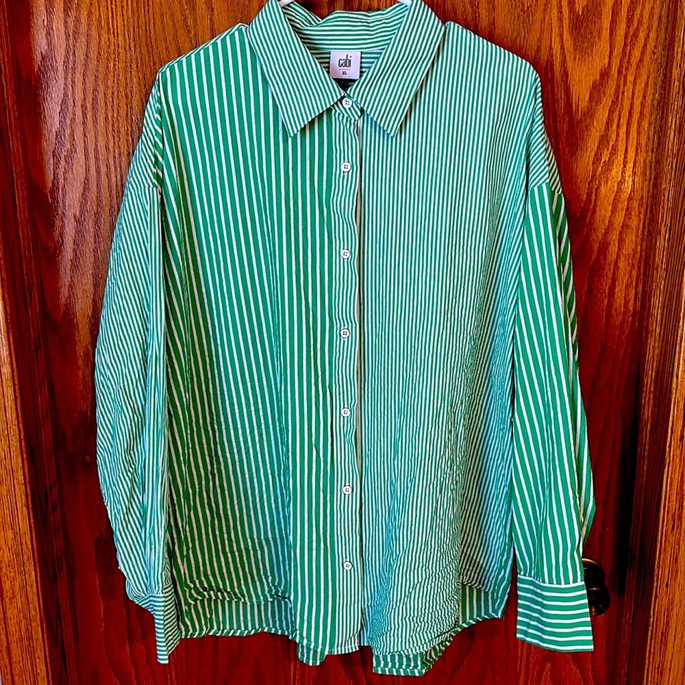 Cabi women’s kelly green stripe XL button down shirt